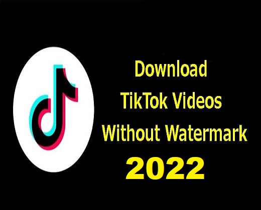 Tiktok video downloader without watermark