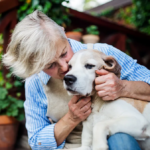 Aging Pets Care